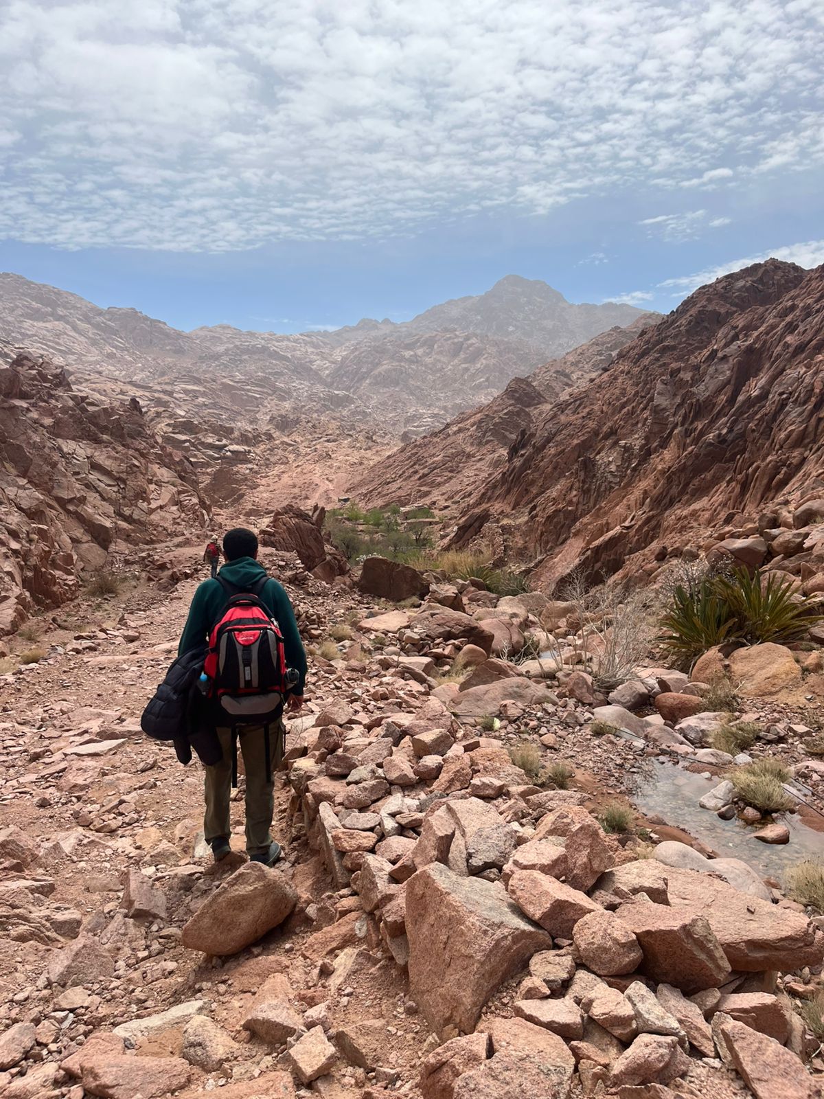Saint Catherine